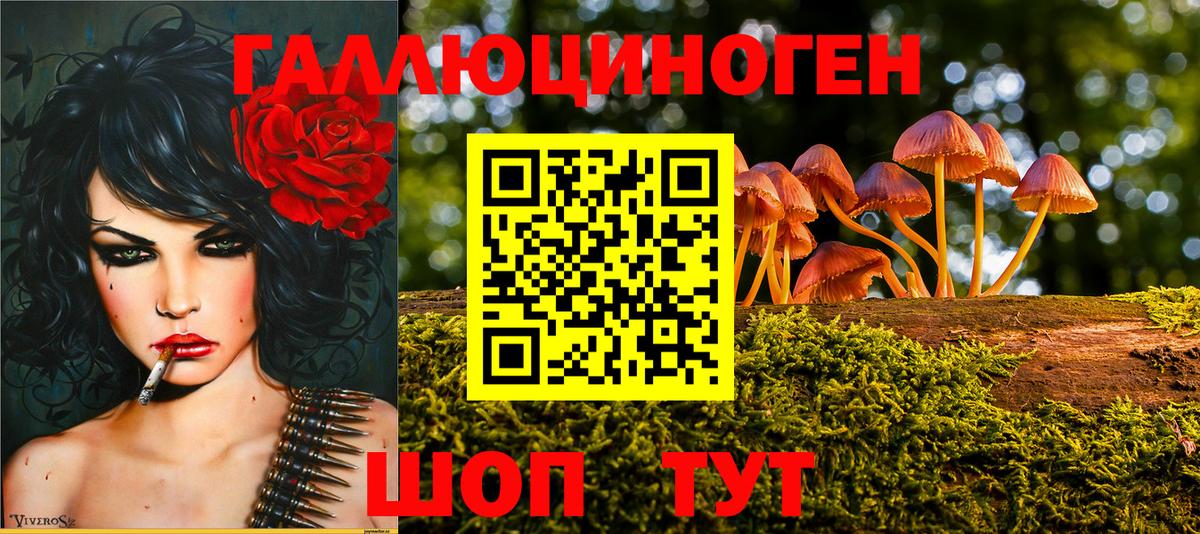 Галлюциногенные грибы Cubensis  продажа наркотиков  Острогожск  Вход с VPN 